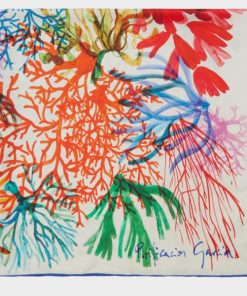 Modishgarments.shop78a5d8d1c8 1