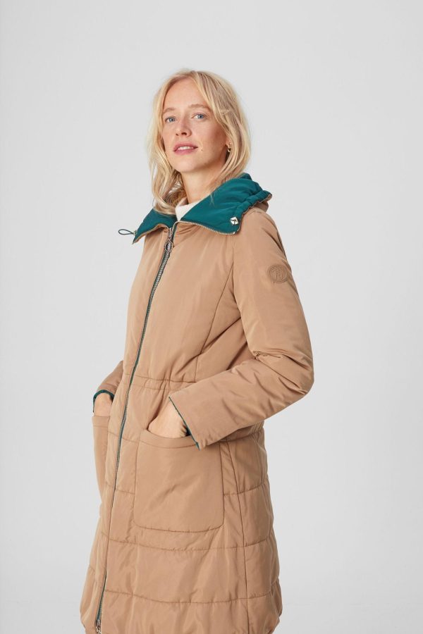 Modishgarments.shopd874c04f71 3